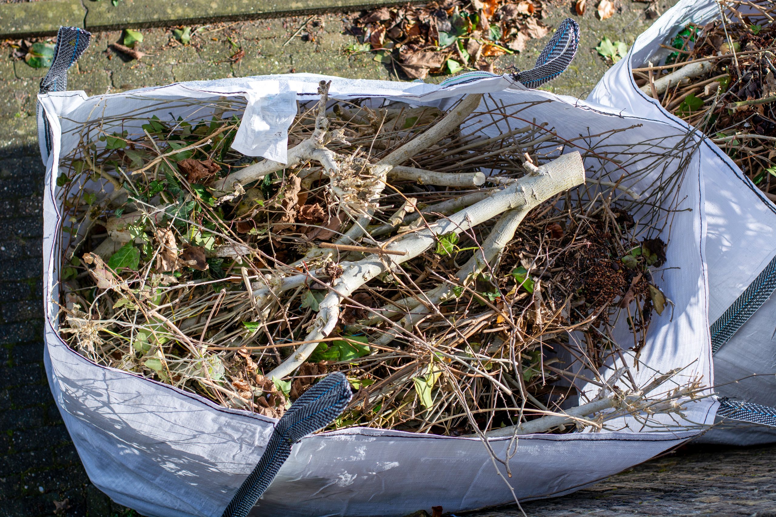 Garden Clearance Carshalton SM5