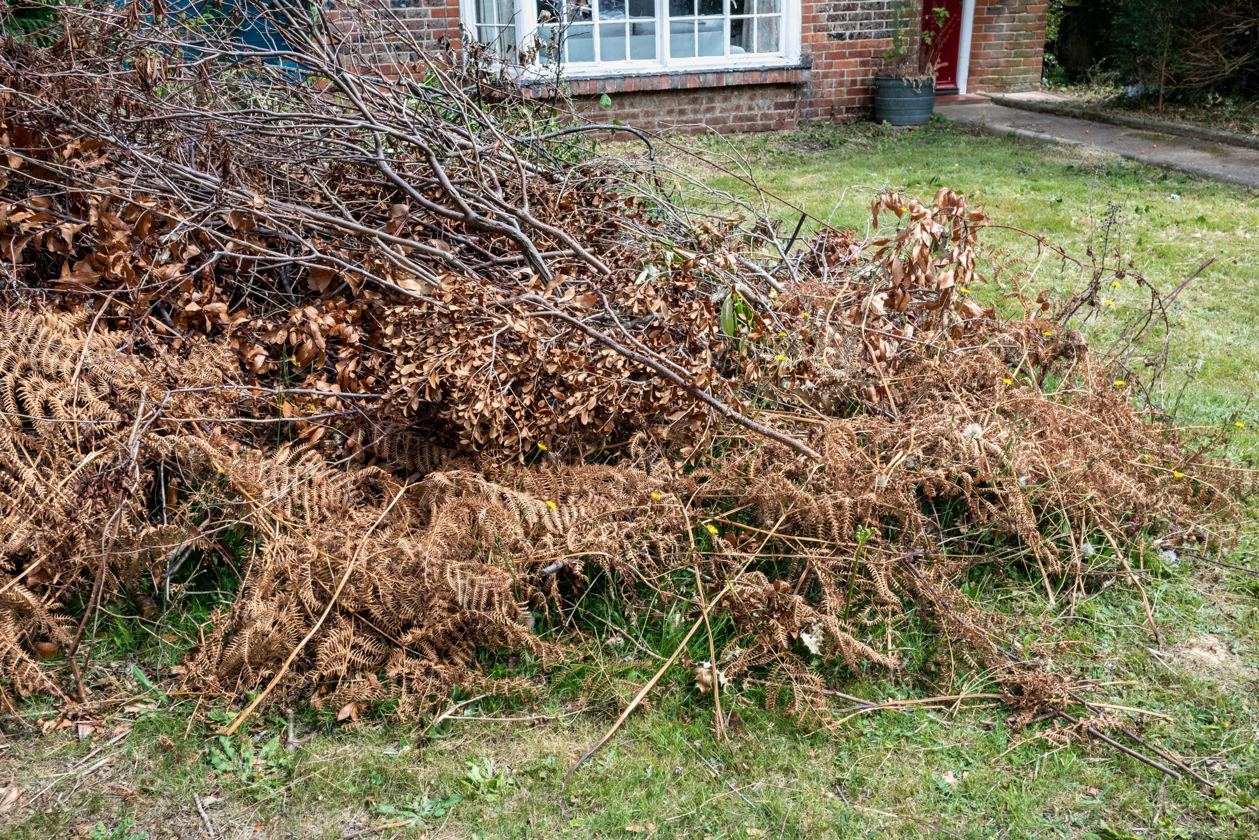 Garden Green Waste Removal Carshalton SM5